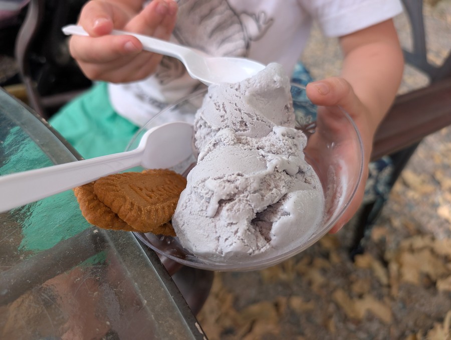 A scoop of lavender ice cream with a cookie at Lavender Ridge Farms.