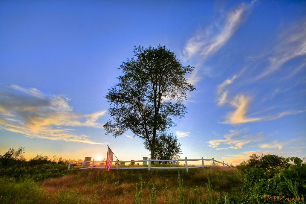 Sherman's Woodmen Circle cemetery designated; project reports two marker approvals